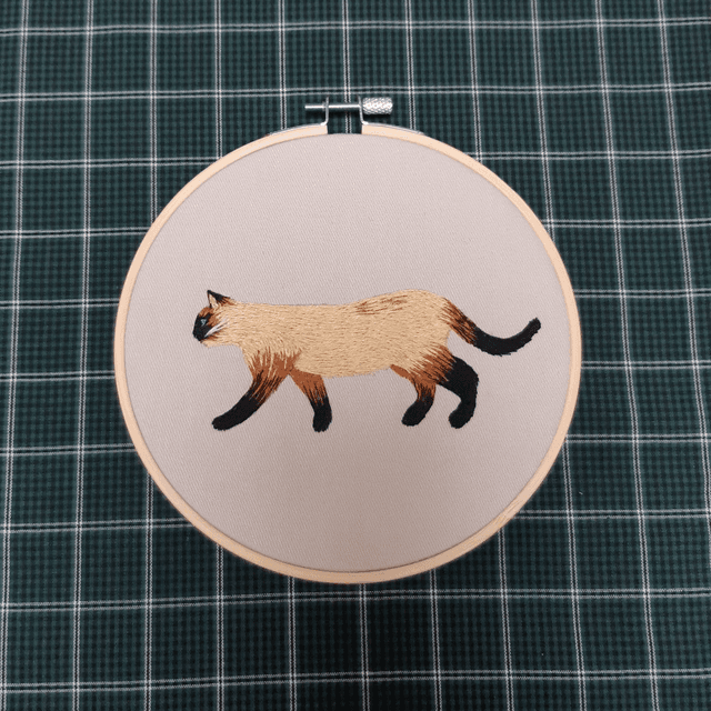 Chat siamois