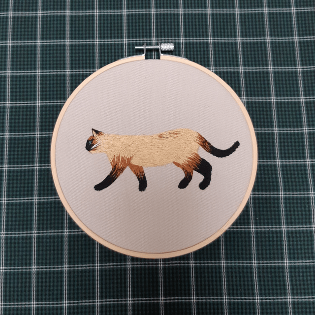 Chat siamois